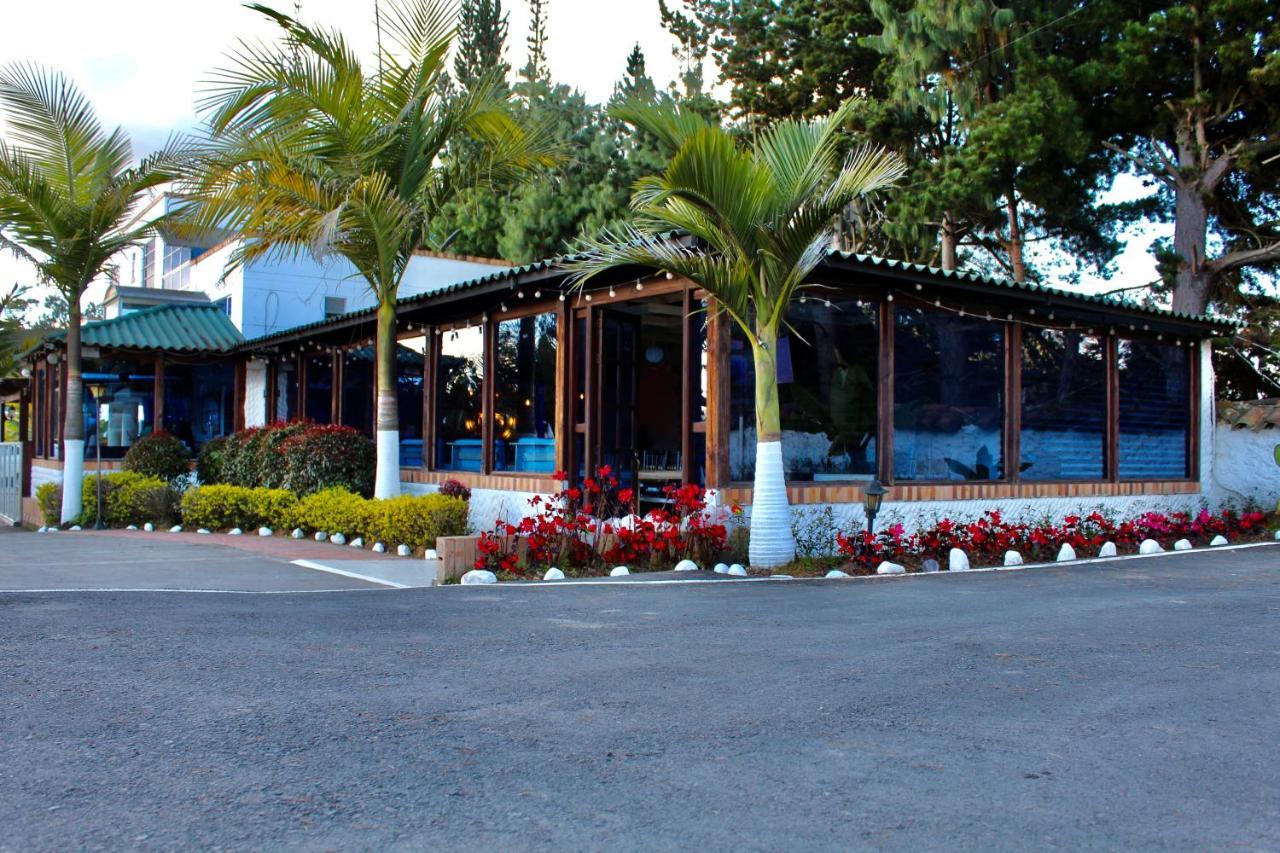 Palmeras